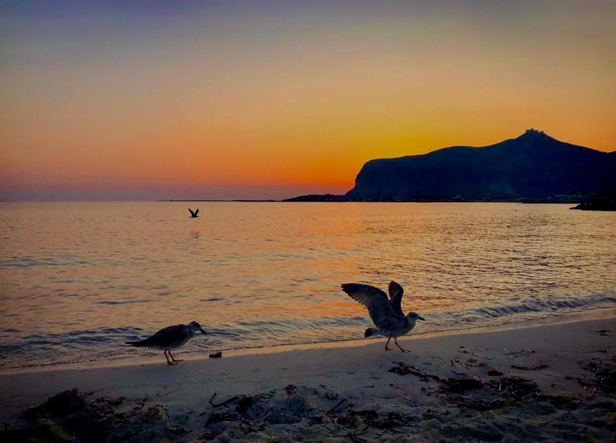 Bed & Breakfast Stabilimento Lido Burrone *
